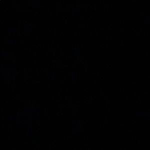 Meet your Posher, Doris